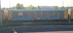 TTGX 942198